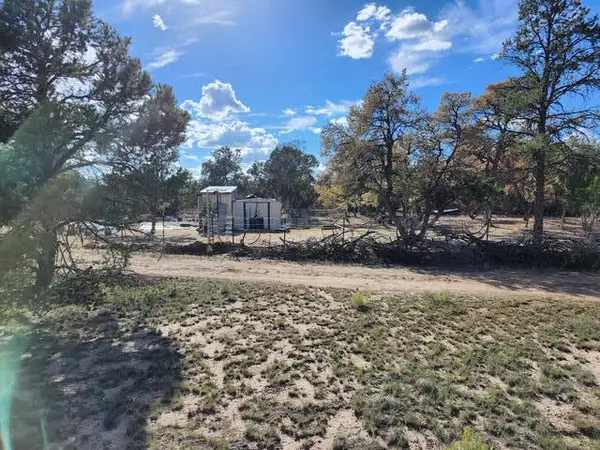 15 Cattle Track Drive, Quemado, NM 87829