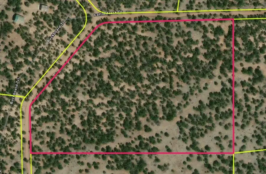 15 Cattle Track Drive, Quemado, NM 87829 - #2