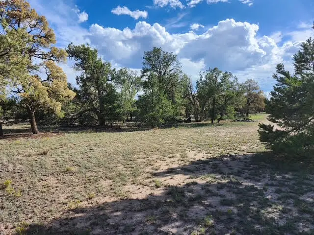 15 Cattle Track Drive, Quemado, NM 87829 - #3
