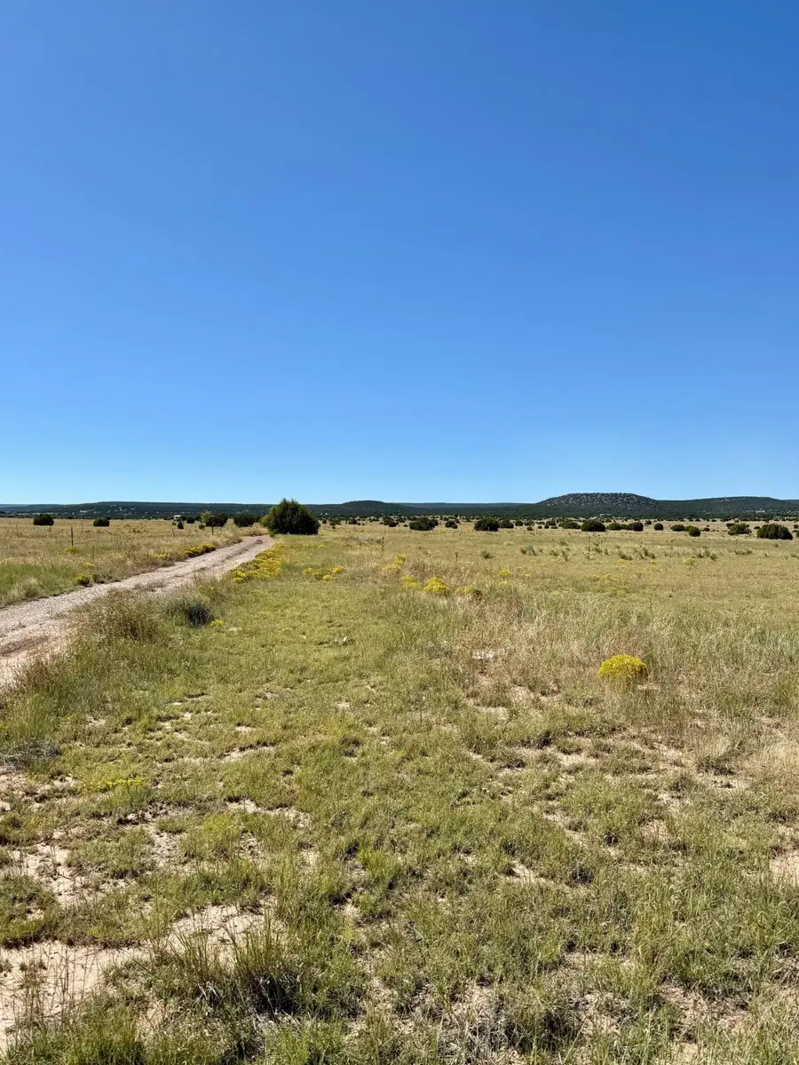 xx Lexco Road, Moriarty, NM 87035 - #2