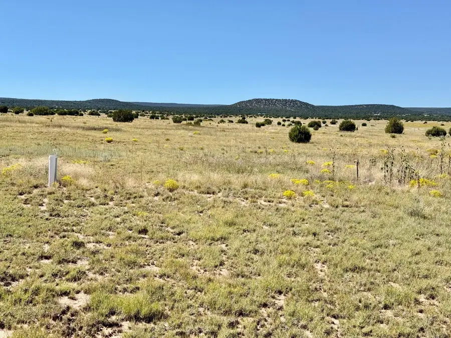 xx Lexco Road, Moriarty, NM 87035 - #3