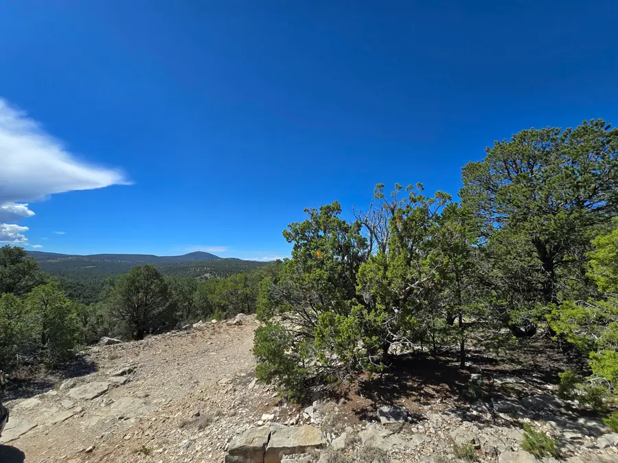 10 Enchantment, Tijeras, NM 87059 - #3