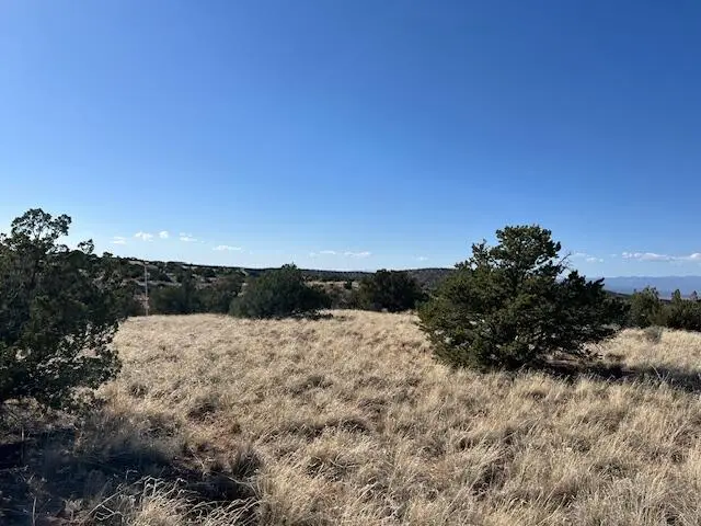 237 Meadows Road, Placitas, NM 87043 - #2