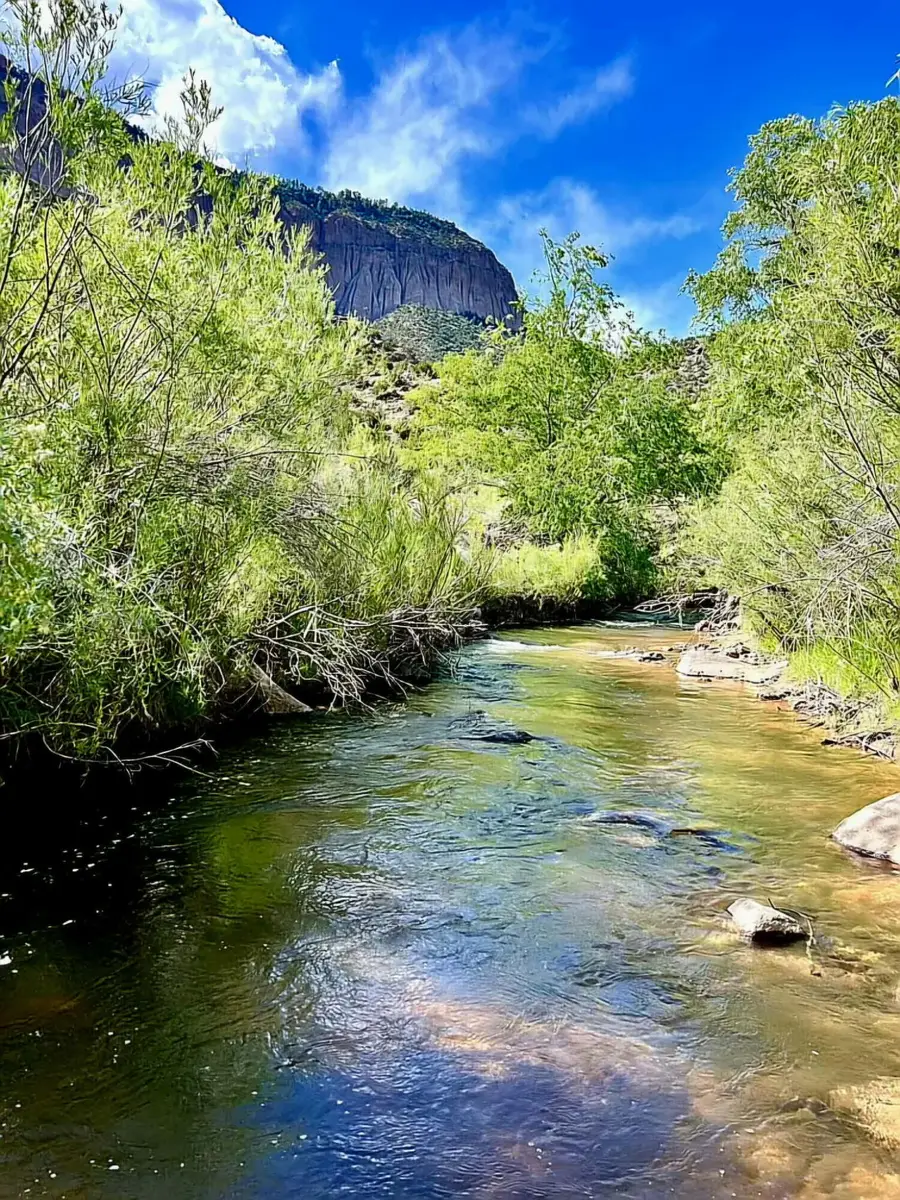 16443 Highway 4, Jemez Springs, NM 87025 - #3