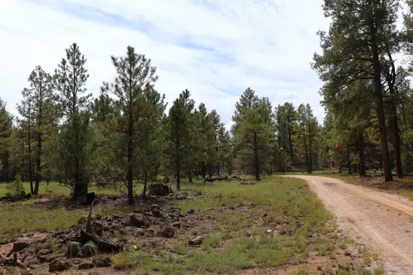 Lot 44 Rhyolite Road, Grants, NM 87020