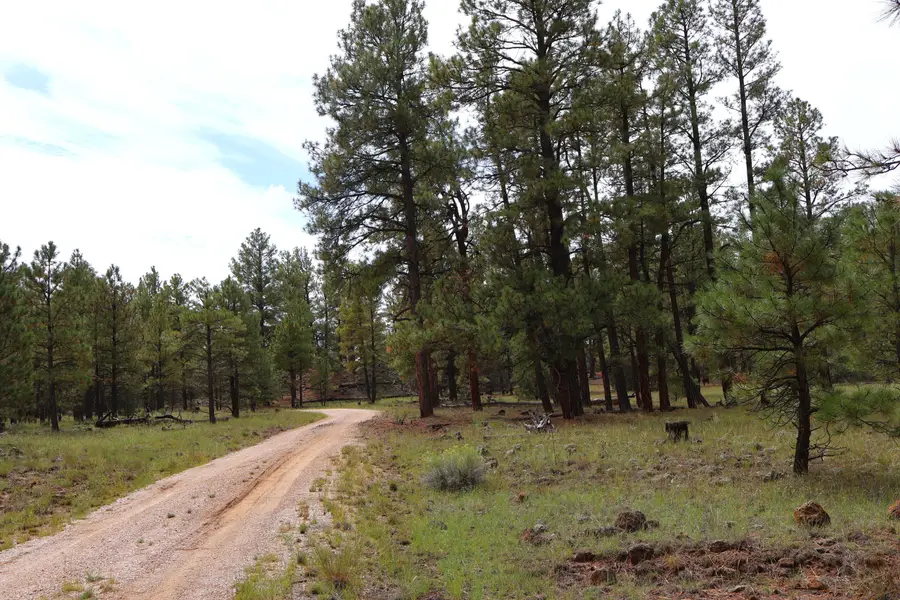 Lot 44 Rhyolite Road, Grants, NM 87020 - #3