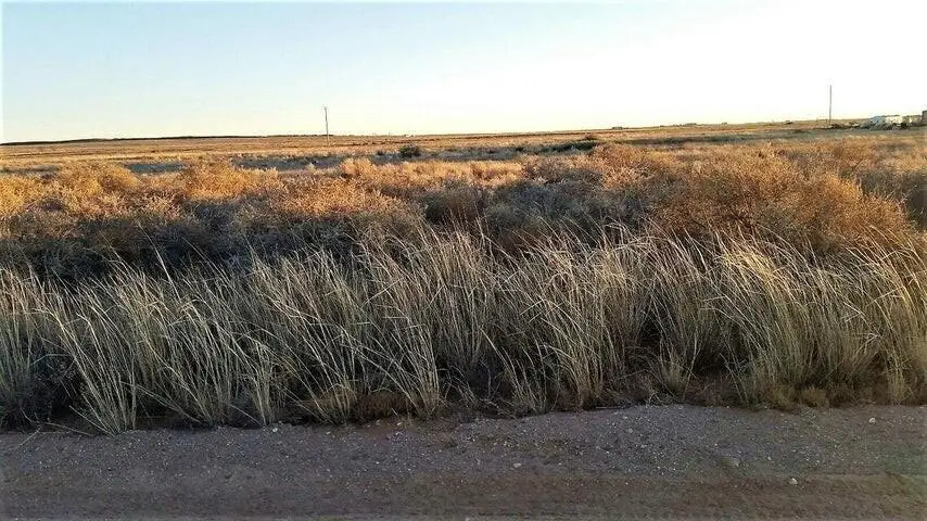 Windward Lot 43 Drive, Edgewood, NM 87015 - #1
