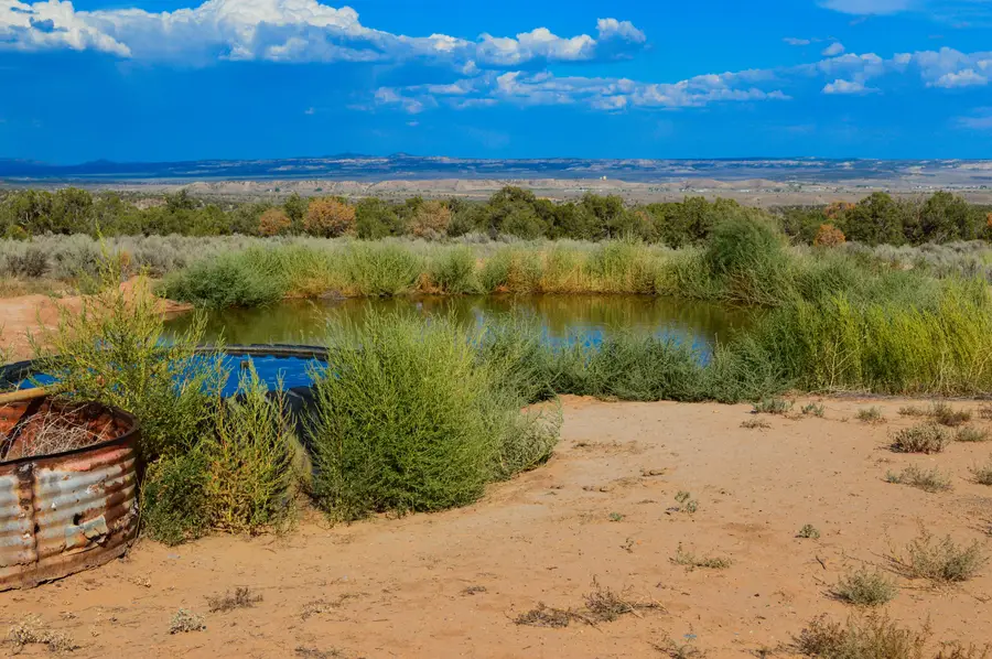 Road 1191, La Plata, NM 87418 - #2