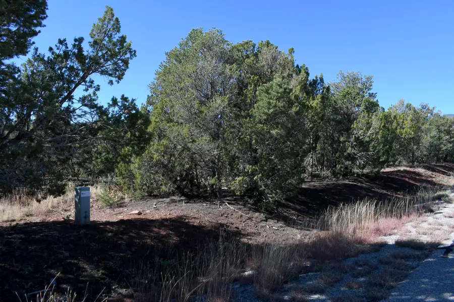 4 Anasazi Court, Sandia Park, NM 87047 - #3