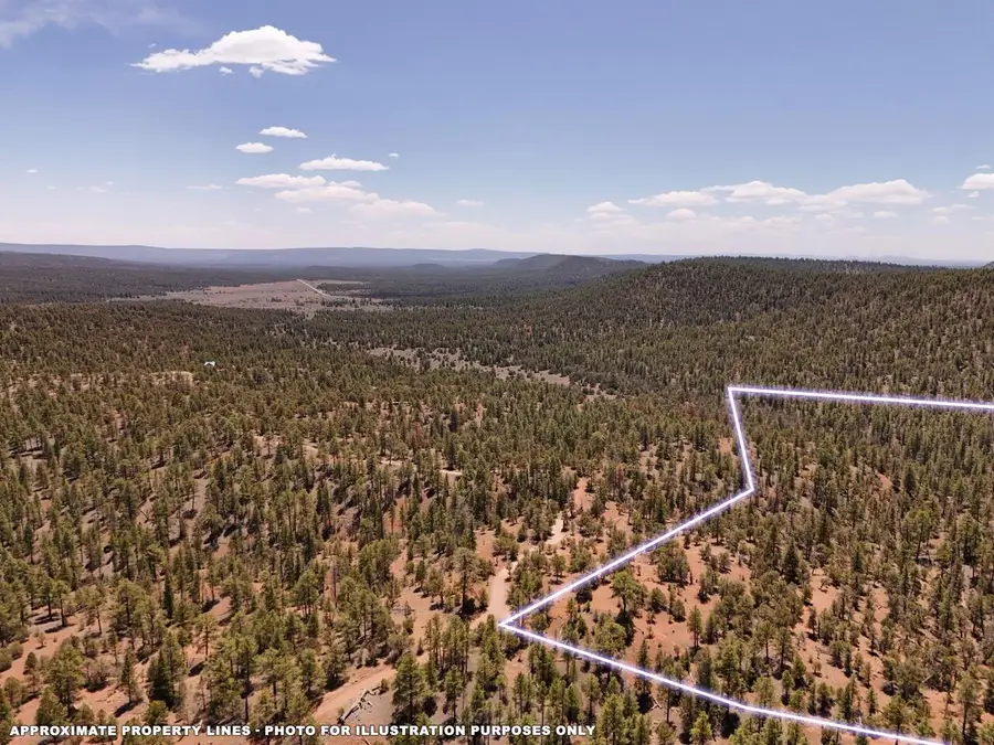 Little Arrow 24.85ac Trail, Ramah, NM 87321 - #2