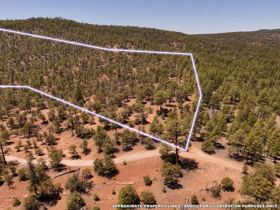 Little Arrow 24.85ac Trail, Ramah, NM 87321 - #3