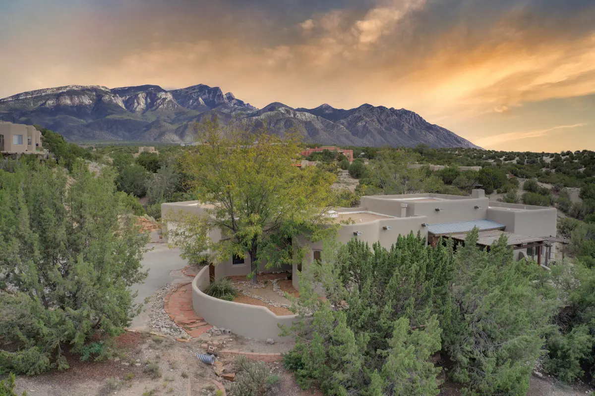 20 Coyote Run, Placitas, NM 87043 - #1