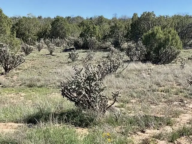 65 Las Colinas Road, Edgewood, NM 87015 - #1