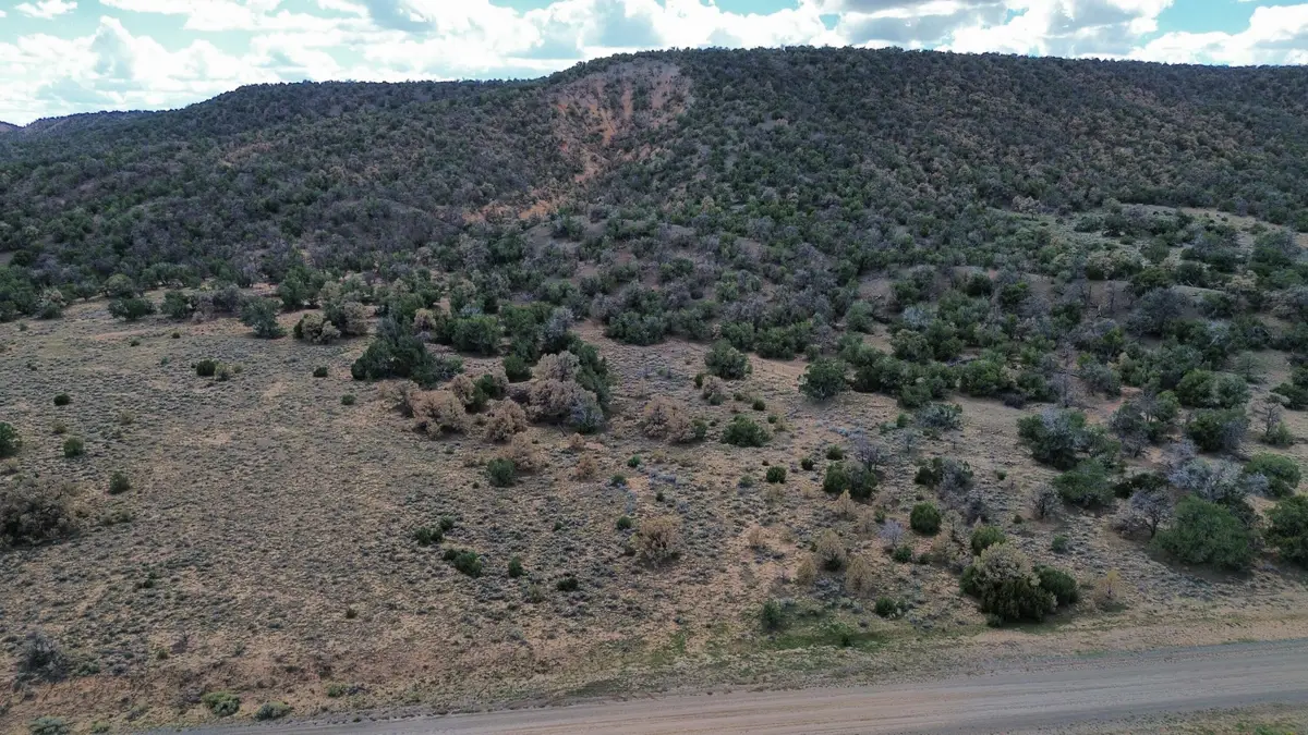 LOT 1 Nm-603, Pie Town, NM 87827 - #1
