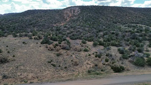 LOT 1 Nm-603, Pie Town, NM 87827