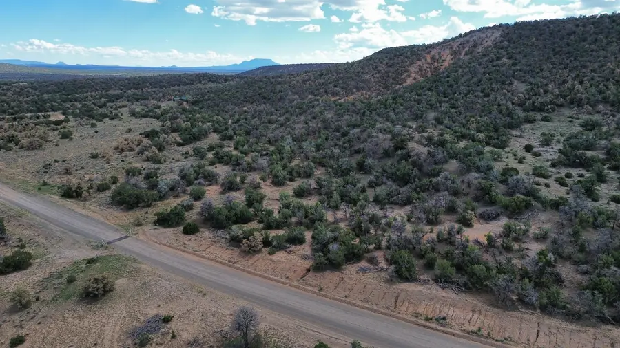 LOT 1 Nm-603, Pie Town, NM 87827 - #2