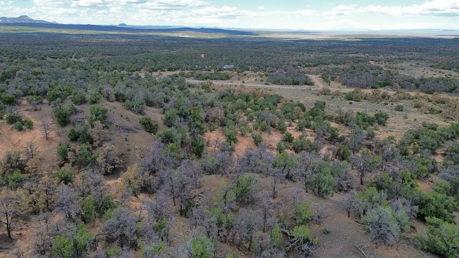 LOT 1 Nm-603, Pie Town, NM 87827 - #3