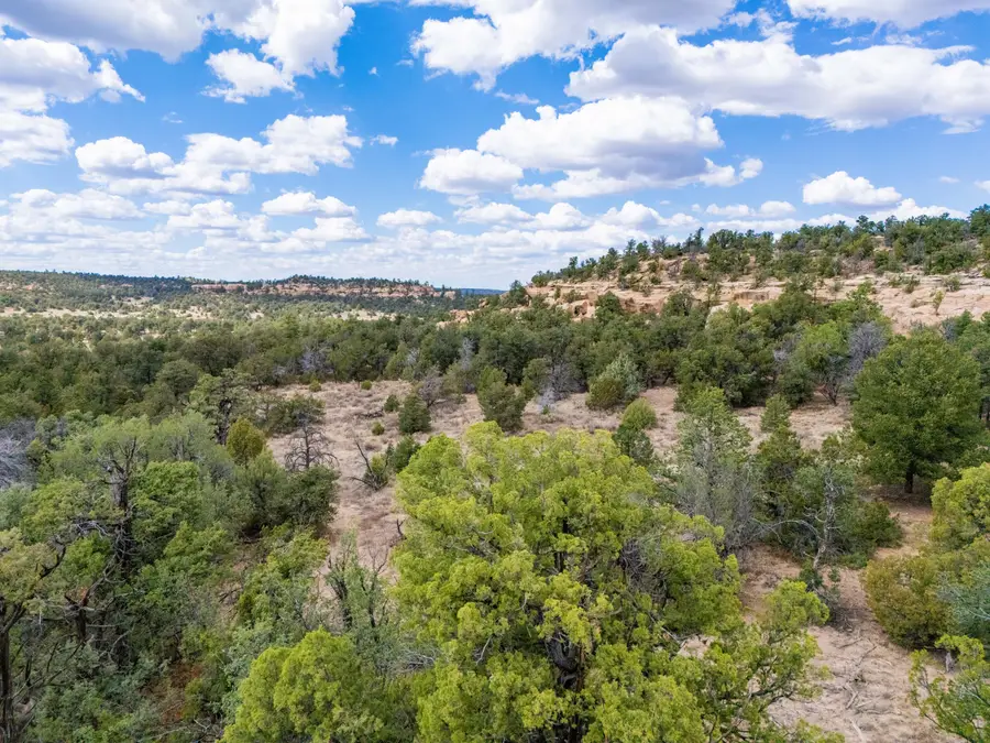 Lot 12 Lost Road, Ramah, NM 87321 - #2