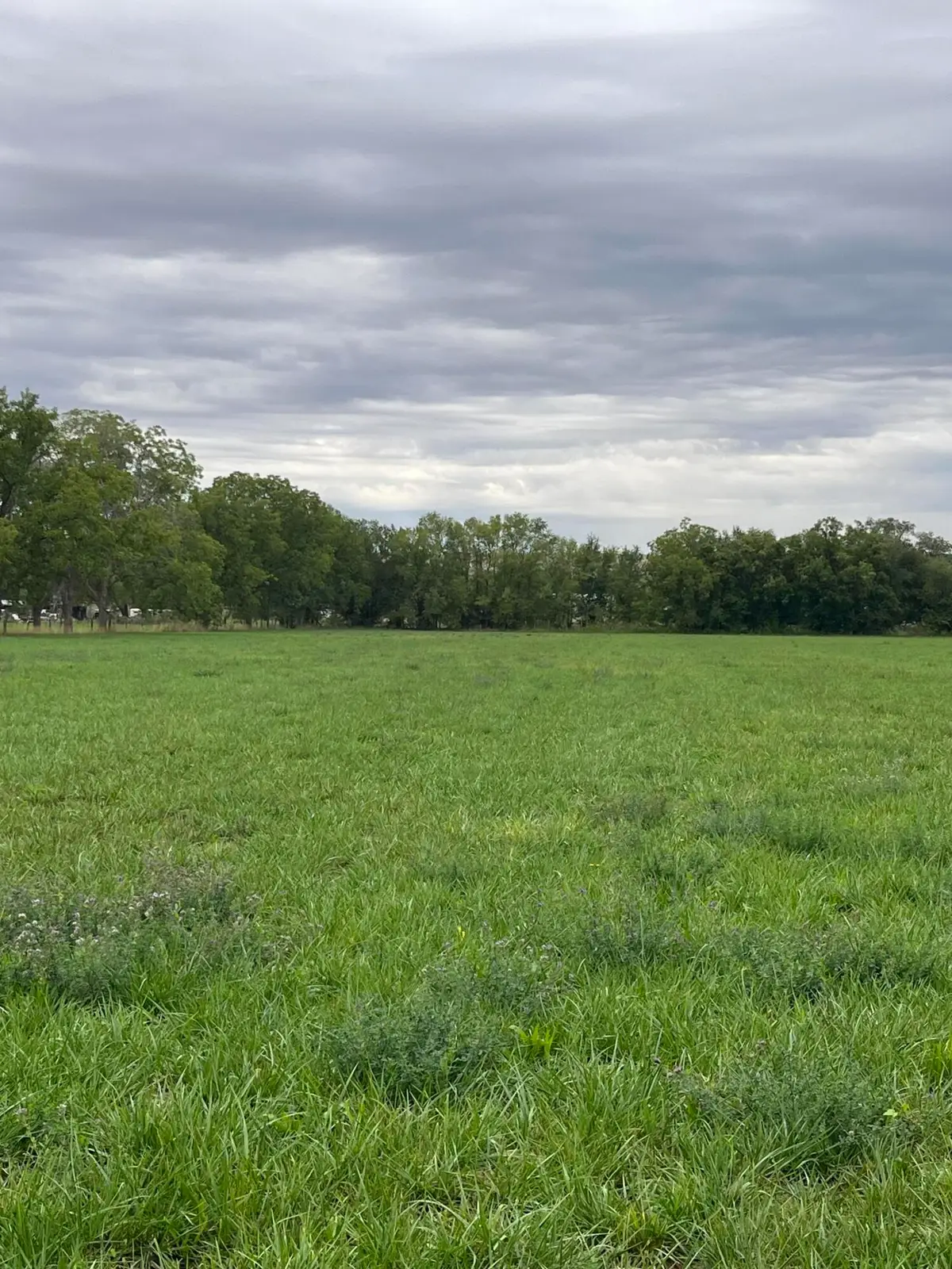 E Of Armijo Road, Belen, NM 87002 - #1