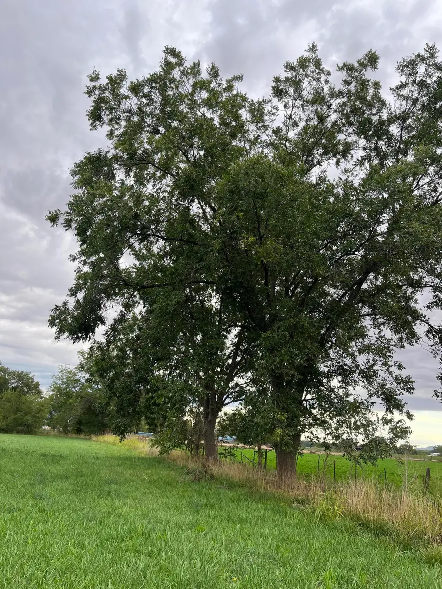 E Of Armijo Road, Belen, NM 87002 - #2