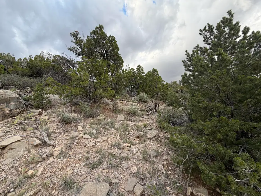 Skyline Ct Tract 6b, Sandia Park, NM 87047 - #2