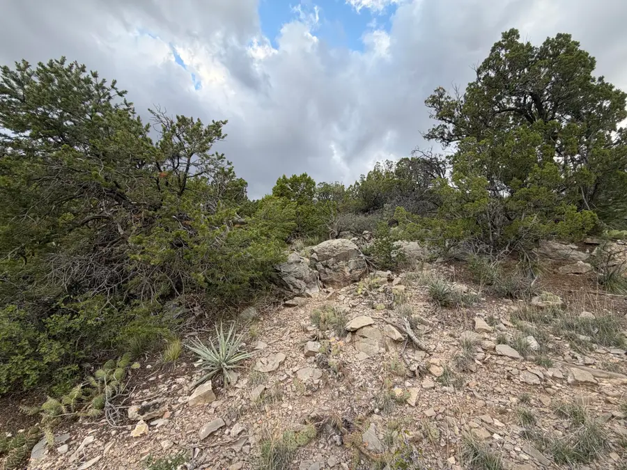 Skyline Ct Tract 6b, Sandia Park, NM 87047 - #3