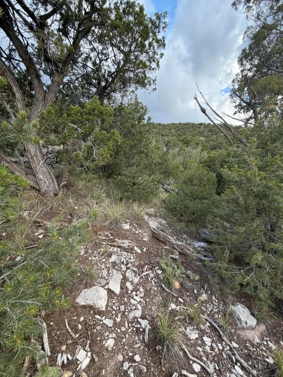 Skyline Ct Tract 6c, Sandia Park, NM 87047 - #2