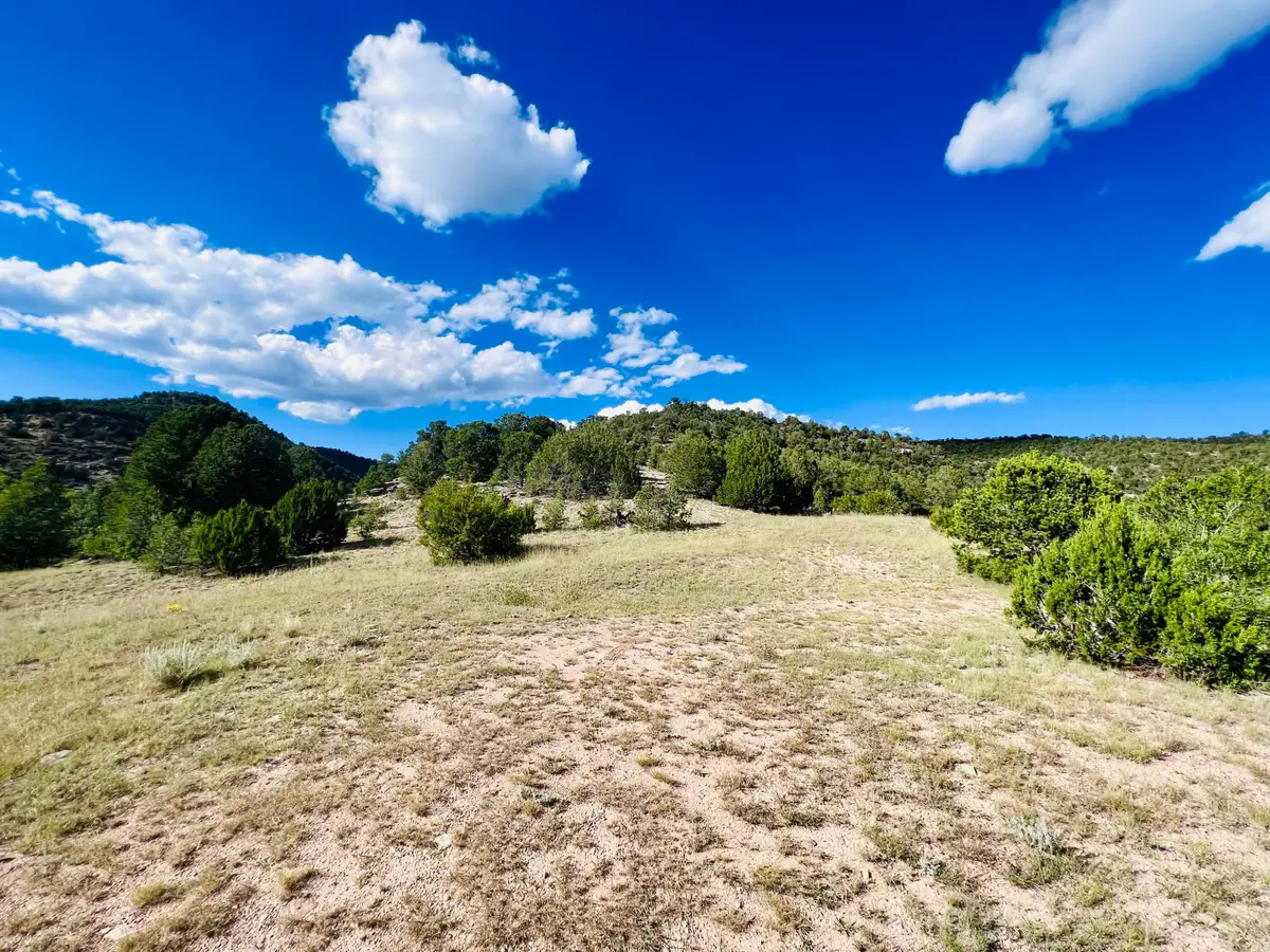 642 Co Rd B43b, Ilfeld, NM 87538 - Image #1