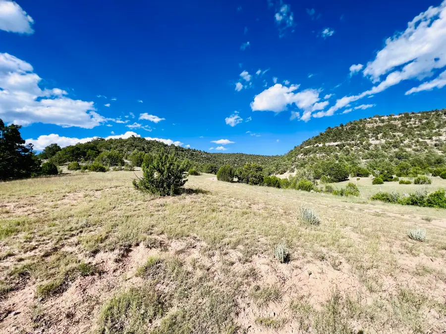 642 Co Rd B43b, Ilfeld, NM 87538 - Image #2