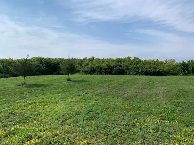 2906 Serenity Lane Ne, Rochester, MN 55906 - Image #3