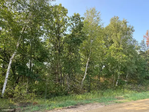TBD (L9,B2) Goldfinch Lane Sw, Bemidji, MN 56601
