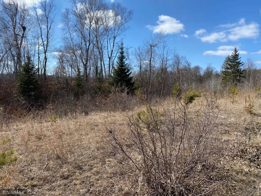 TBD (L11,B2) Grant Hills Road Sw, Bemidji, MN 56601 - Image #3