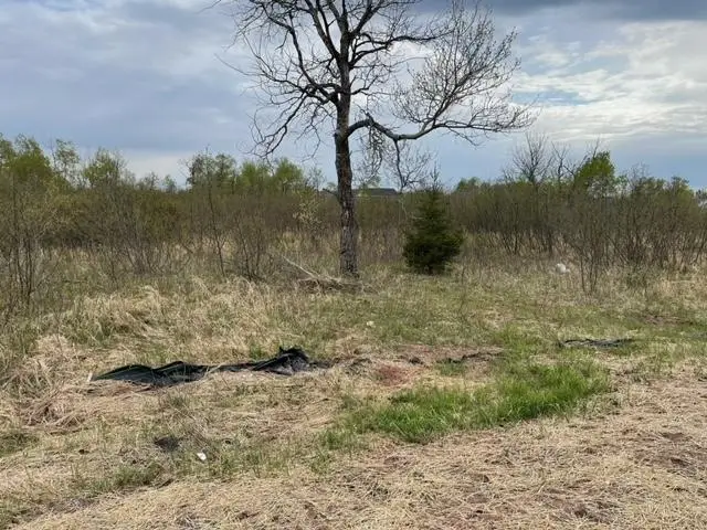 35 Spartan Circle Drive, Superior, WI 54880 - Image #2