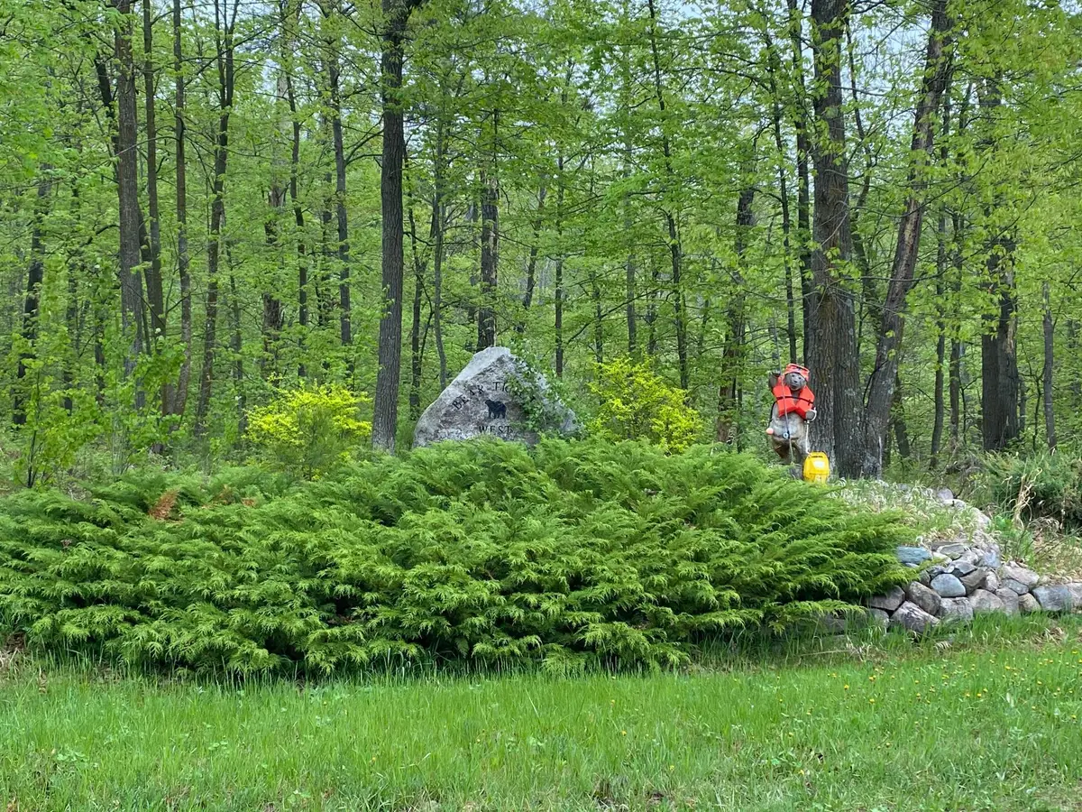 LOT 16 Bear Tract Lane Ne, Longville, MN 56655 - Image #1