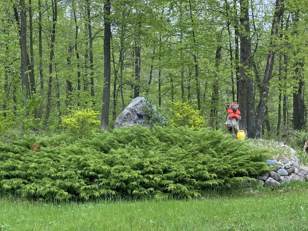 LOT 17 Bear Tract Lane Ne, Longville, MN 56655 - #1