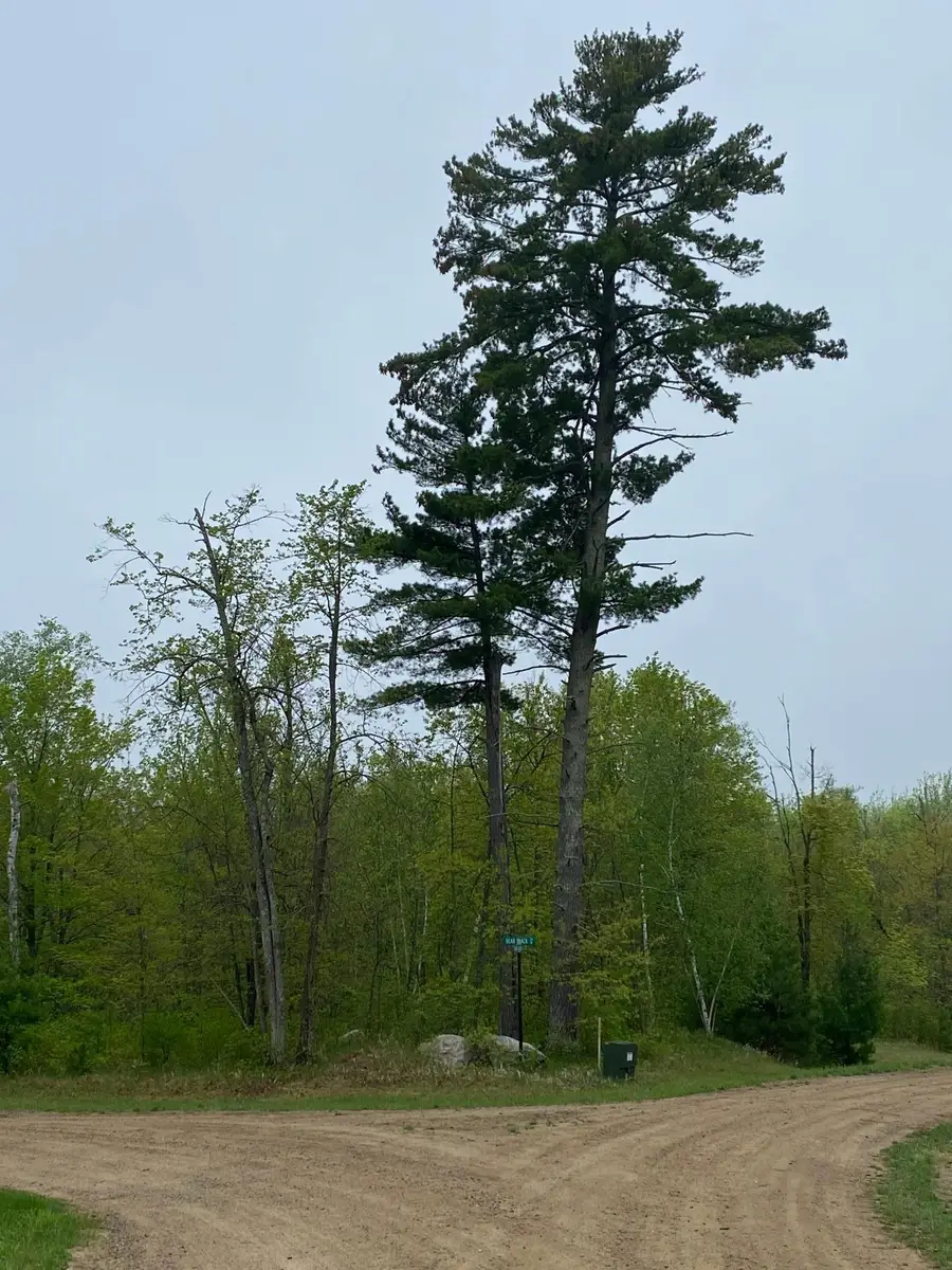 LOT 17 Bear Tract Lane Ne, Longville, MN 56655 - #3