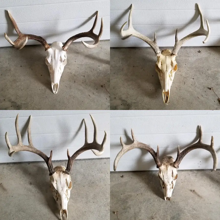 TBD State Hwy 172 Cliff, Baudette, MN 56623 - Image #3