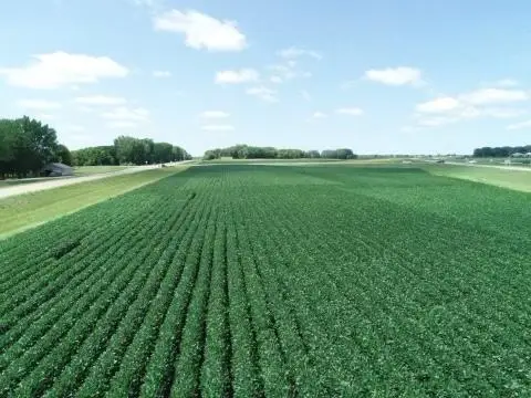 xxx Airport Road, Hutchinson, MN 55350 - Image #3