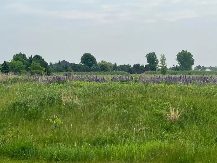 3976 Mayo Woodlands Road Sw, Rochester, MN 55902 - Image #3