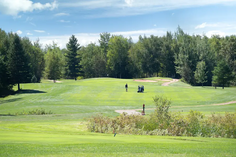 TBD Bay Rd Tbd Bay Rd, Coleraine, MN 55722 - #3