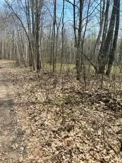 XXX Opal Ln, Cushing, MN 56443 - #1