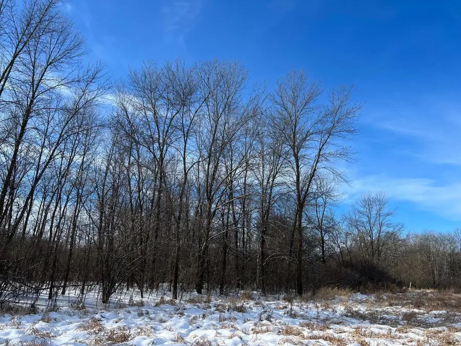 169xx Lake Boulevard, Shafer, MN 55074 - #2