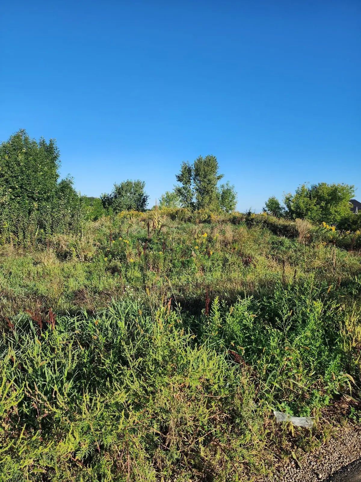 21264 Dorothy Way, Spring Lake Township, MN 55372 - Image #1