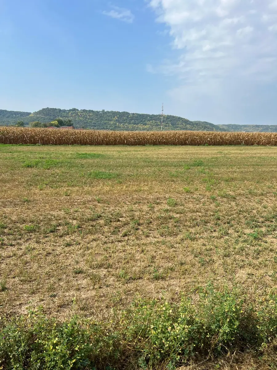 1614 River Drive S, Wabasha, MN 55981 - Image #2