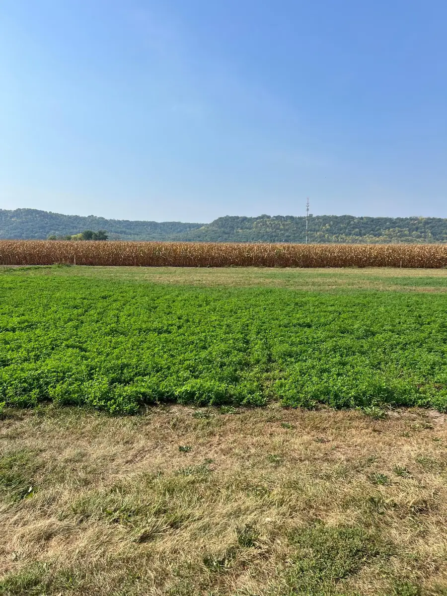 1612 River Drive S, Wabasha, MN 55981 - Image #3