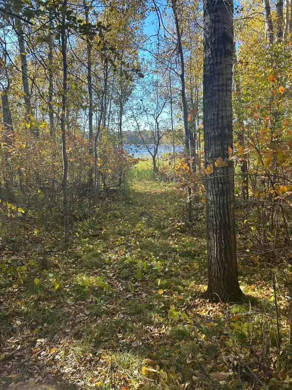 39xxx Osage Drive, Browerville, MN 56438