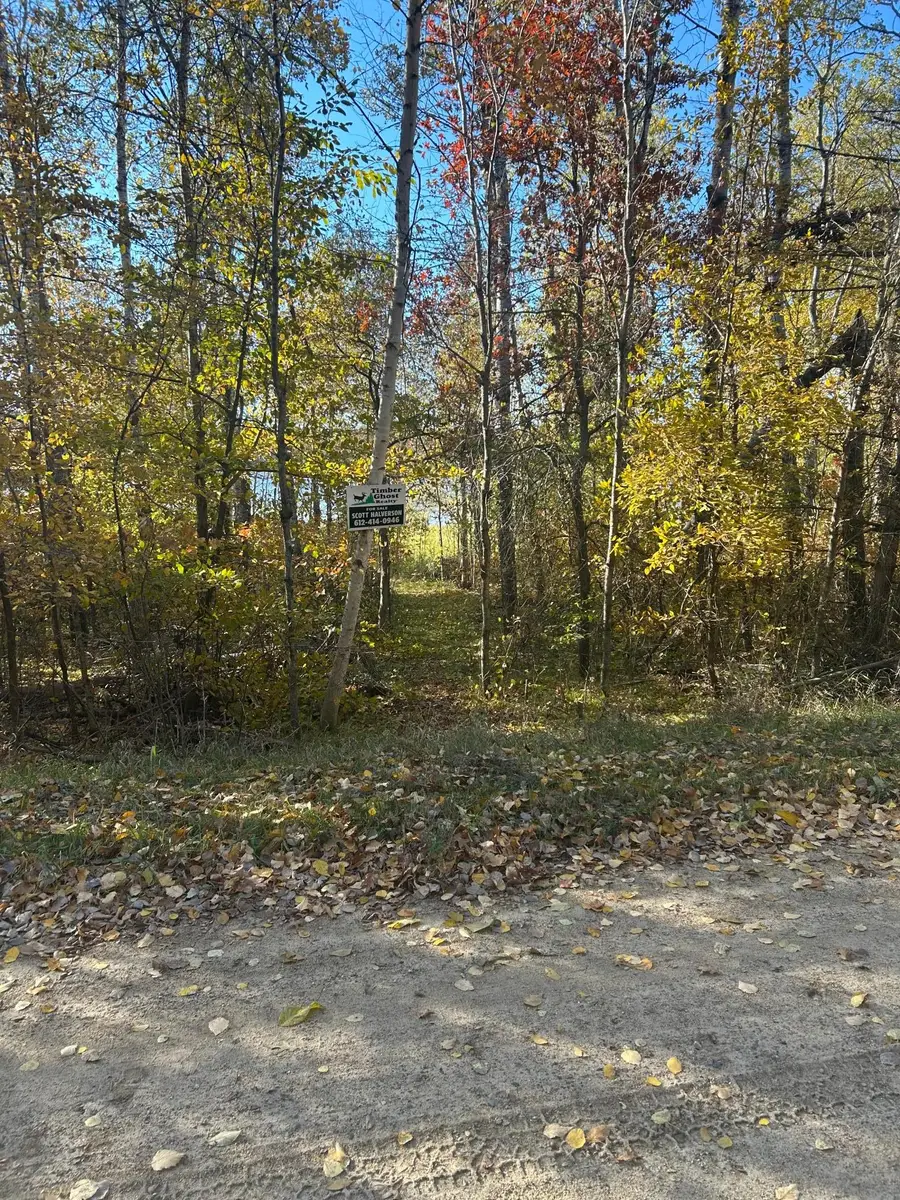 39xxx Osage Drive, Browerville, MN 56438 - #2