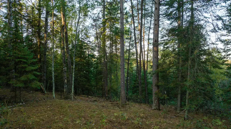 13895 Gazelle Trail, Park Rapids, MN 56470 - Image #2