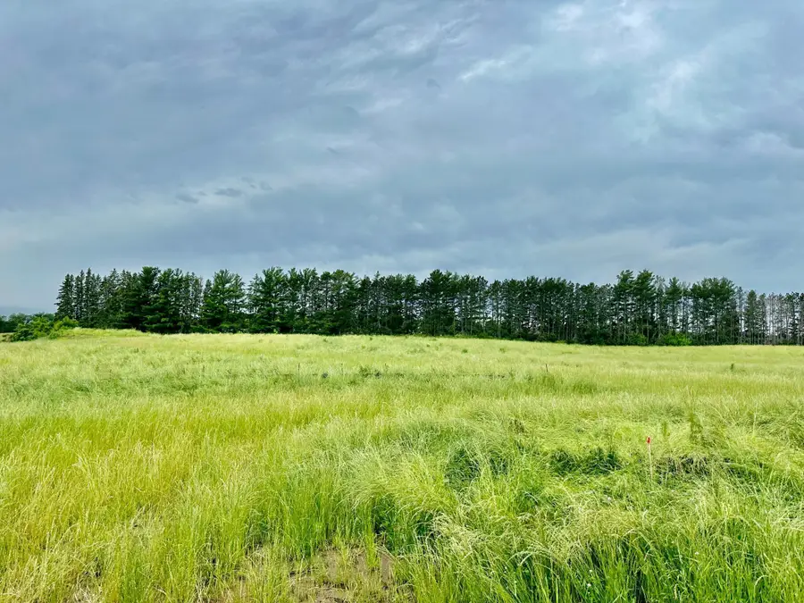 2535 Pioneer Trail, Medina, MN 55340 - #3