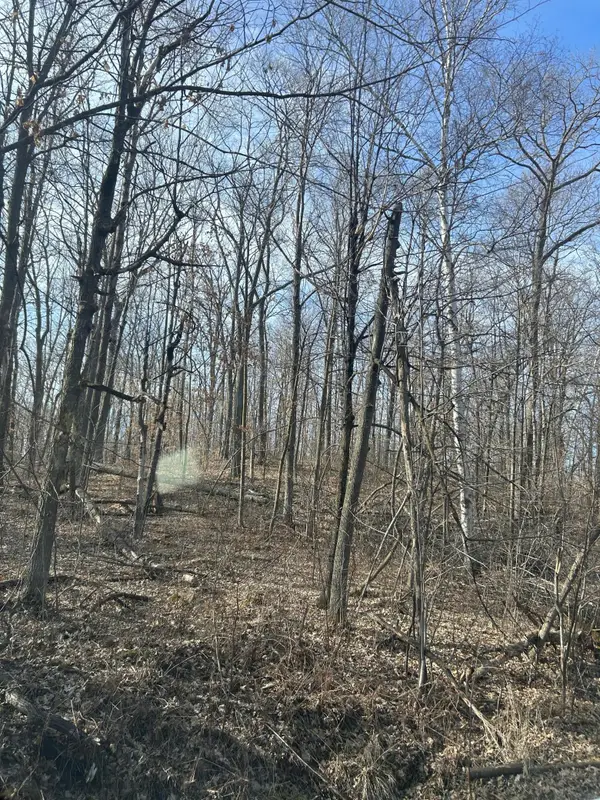 xxx Birchcurve Rd, Cushing, MN 56443